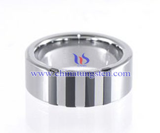 Tungsten Carbide Flat Ring Picture